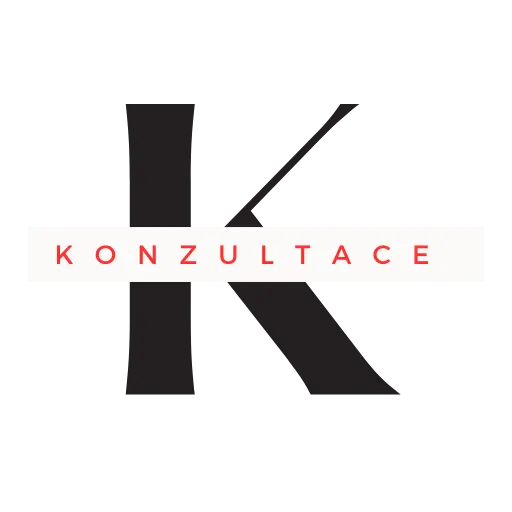 konzultace